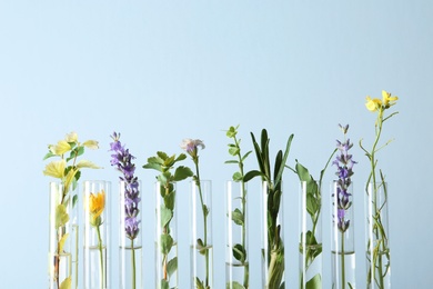 Photo of Test tubes with different plants on light blue background