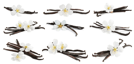 Image of Set with aromatic vanilla pods and flowers on white background