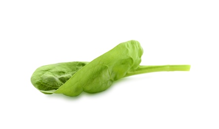 Photo of Fresh leaf of spinach isolated on white