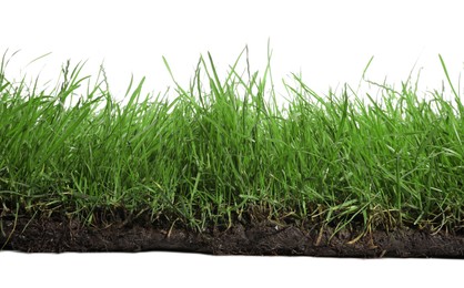 Soil with lush green grass on white background