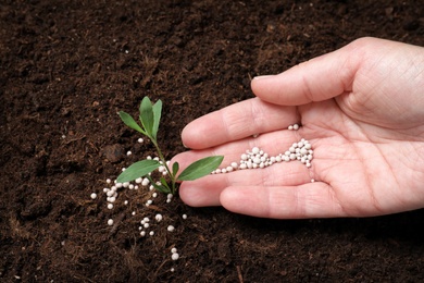 Woman fertilizing plant in soil, closeup. Gardening season