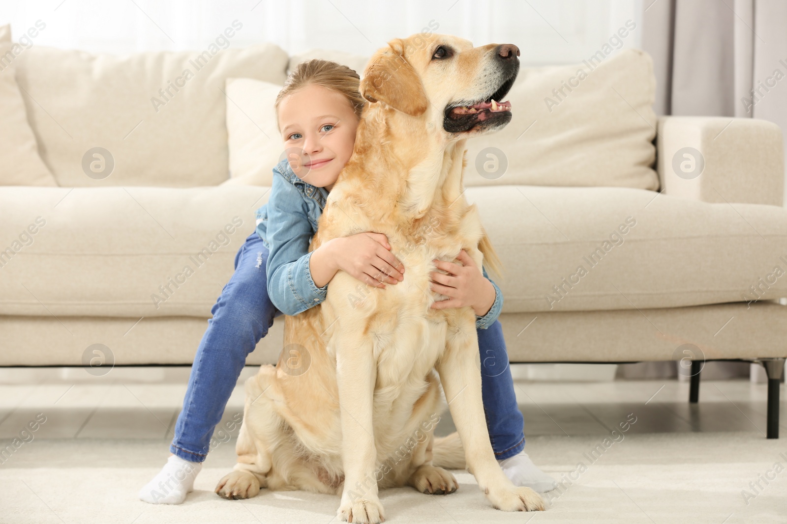 Photo of Cute child hugging her Labrador Retriever on floor at home. Adorable pet