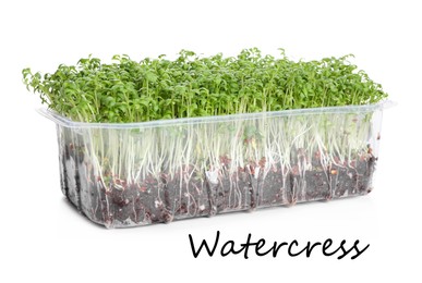 Image of Fresh organic microgreen in plastic container on white background