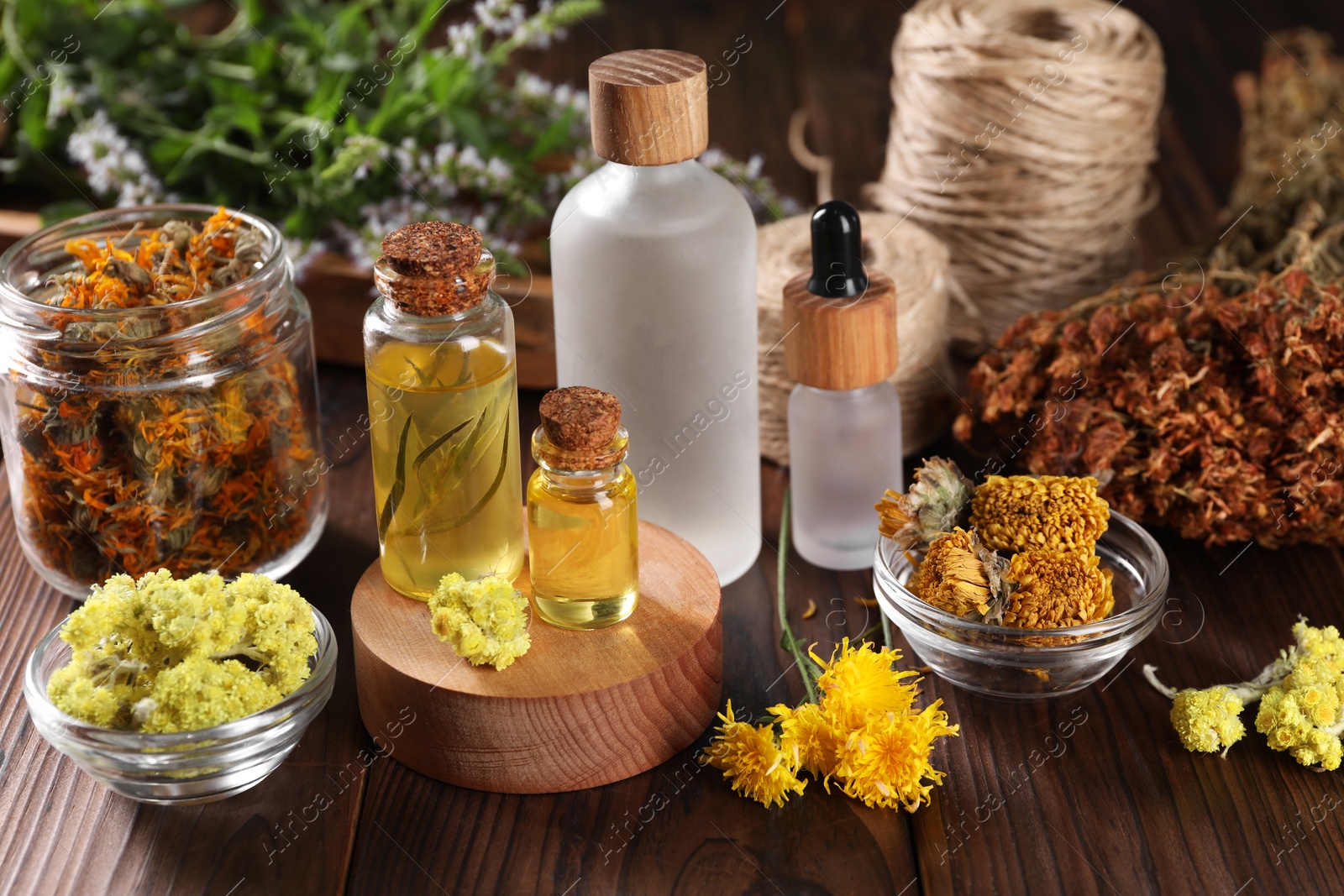 Photo of Bottles of essential oils and different herbs on wooden table