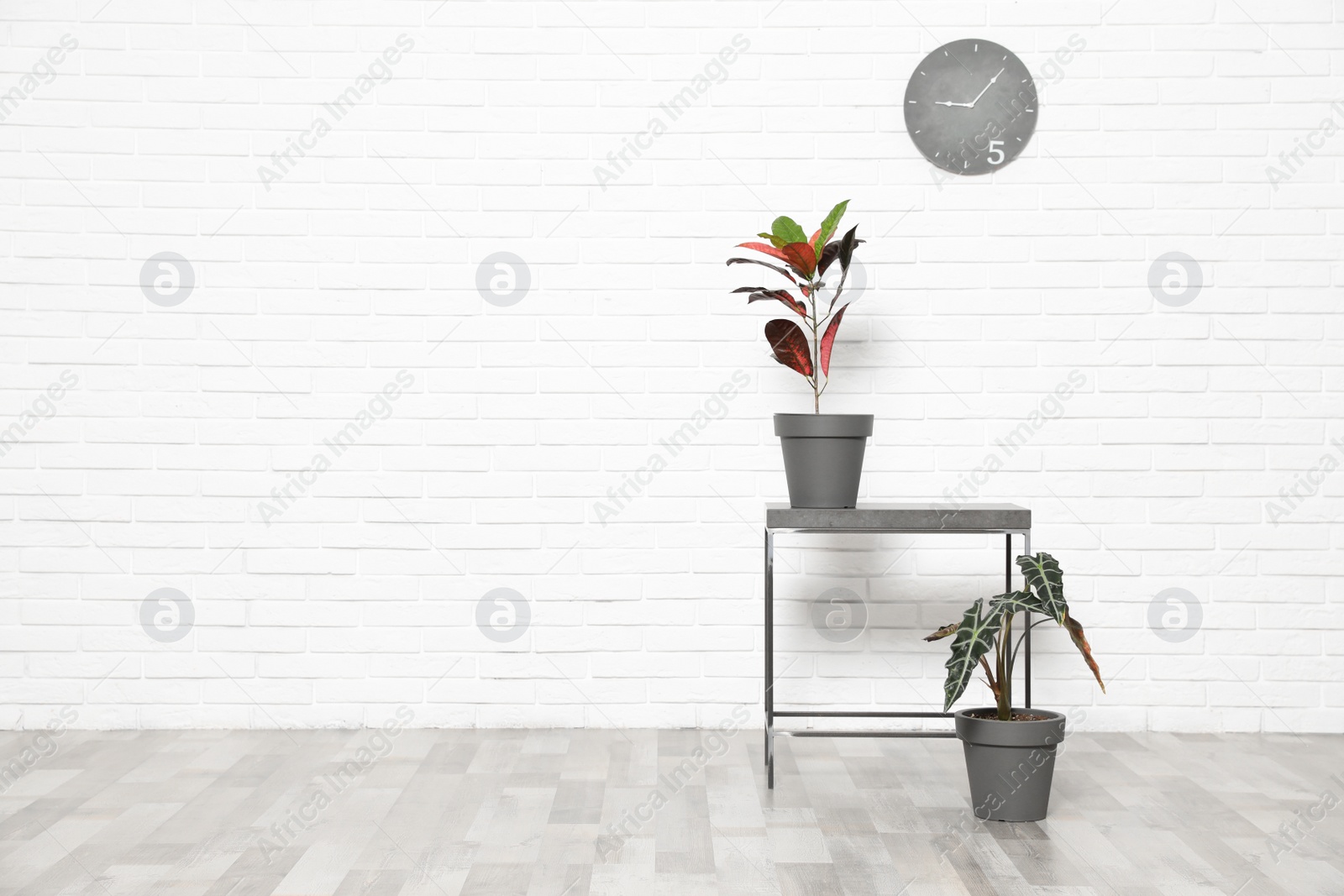 Photo of Table and indoor plants at white brick wall, space for text. Trendy home interior decor