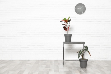 Table and indoor plants at white brick wall, space for text. Trendy home interior decor