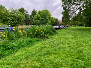 Beautiful view of iris flowers near canal with different boats
