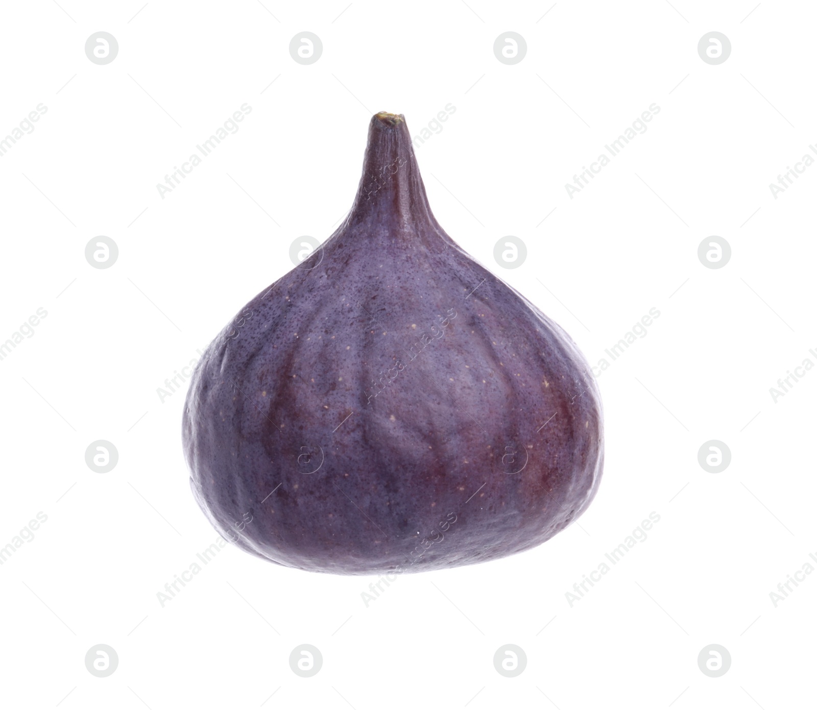 Photo of Whole ripe fresh fig isolated on white