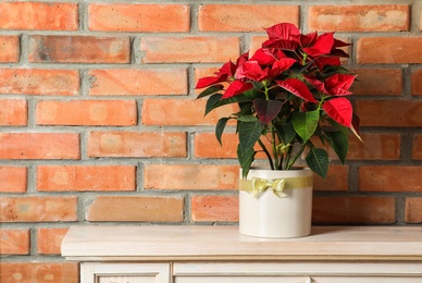 Photo of Beautiful poinsettia (traditional Christmas flower) on chest of drawers near brick wall. Space for text