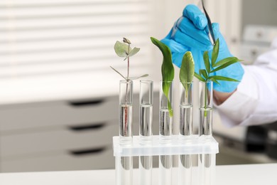 Photo of Scientist putting plant into test tube at white table in laboratory, closeup. Space for text