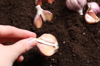 Photo of Woman planting garlic cloves into fertile soil, closeup. Space for text