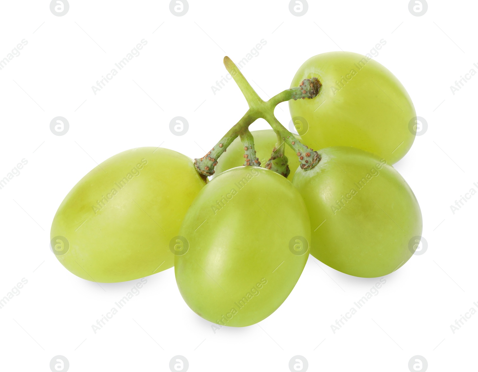 Photo of Fresh ripe juicy grapes isolated on white