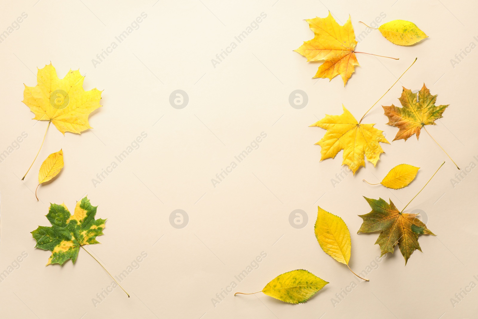 Photo of Beautiful autumn leaves on beige background, flat lay. Space for text