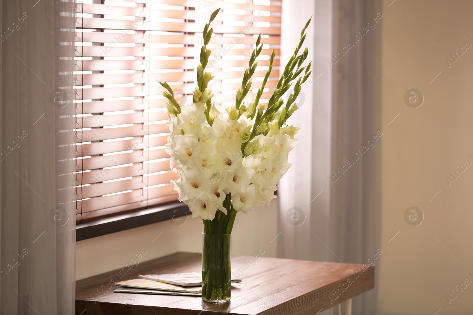 Photo of Vase with beautiful white gladiolus flowers on wooden table in room, space for text