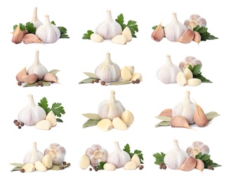 Image of Set with garlic bulbs and cloves on white background