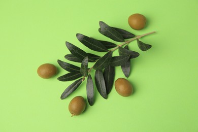 Fresh olives and leaves on light green background, flat lay