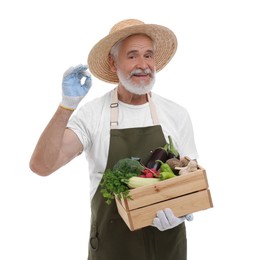 Harvesting season. Farmer holding wooden crate with vegetables and showing ok gesture on white background