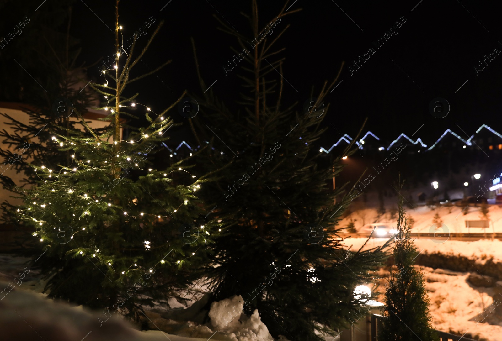 Photo of Beautiful conifer tree with glowing Christmas lights on street, space for text. Winter holiday