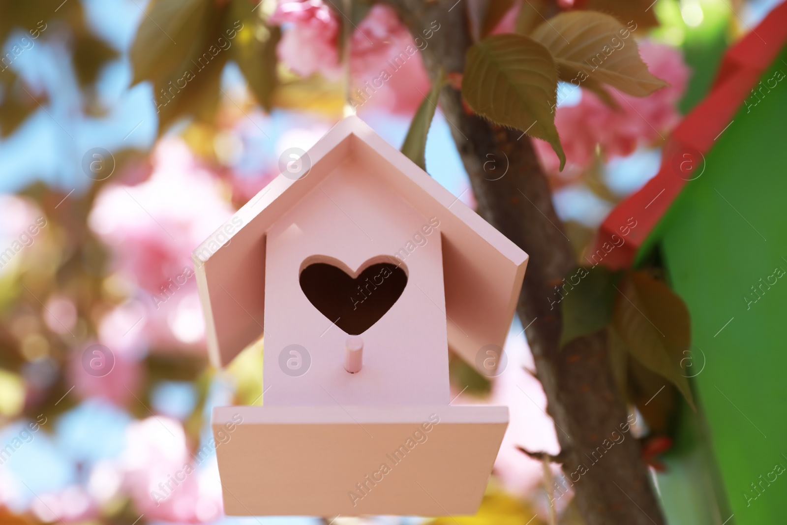 Photo of Pink bird house with heart shaped hole hanging on tree branch outdoors, low angle view