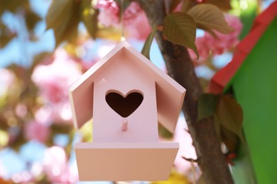 Photo of Pink bird house with heart shaped hole hanging on tree branch outdoors, low angle view