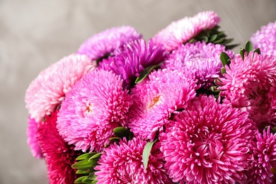 Beautiful aster flowers on beige background, closeup