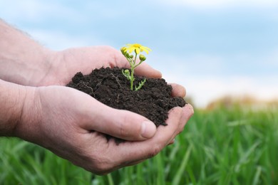 Man holding pile of soil with flower outdoors, closeup