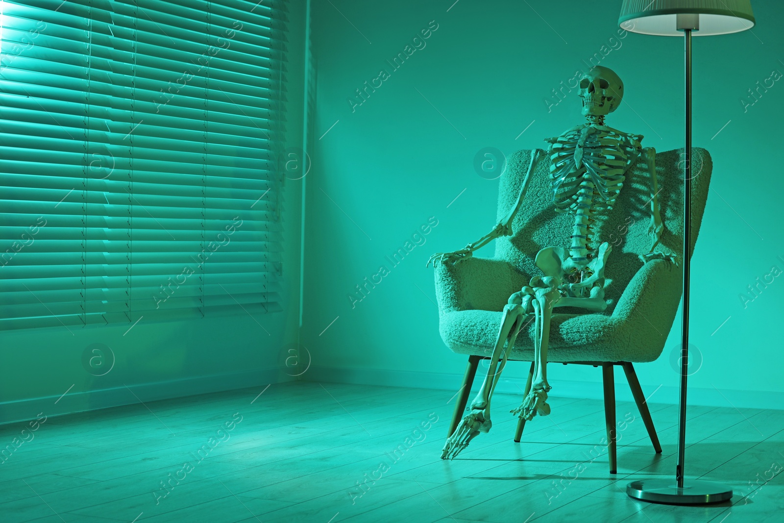 Photo of Waiting concept. Human skeleton sitting in armchair indoors, space for text