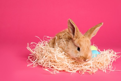 Photo of Adorable furry Easter bunny with decorative straw on color background, space for text