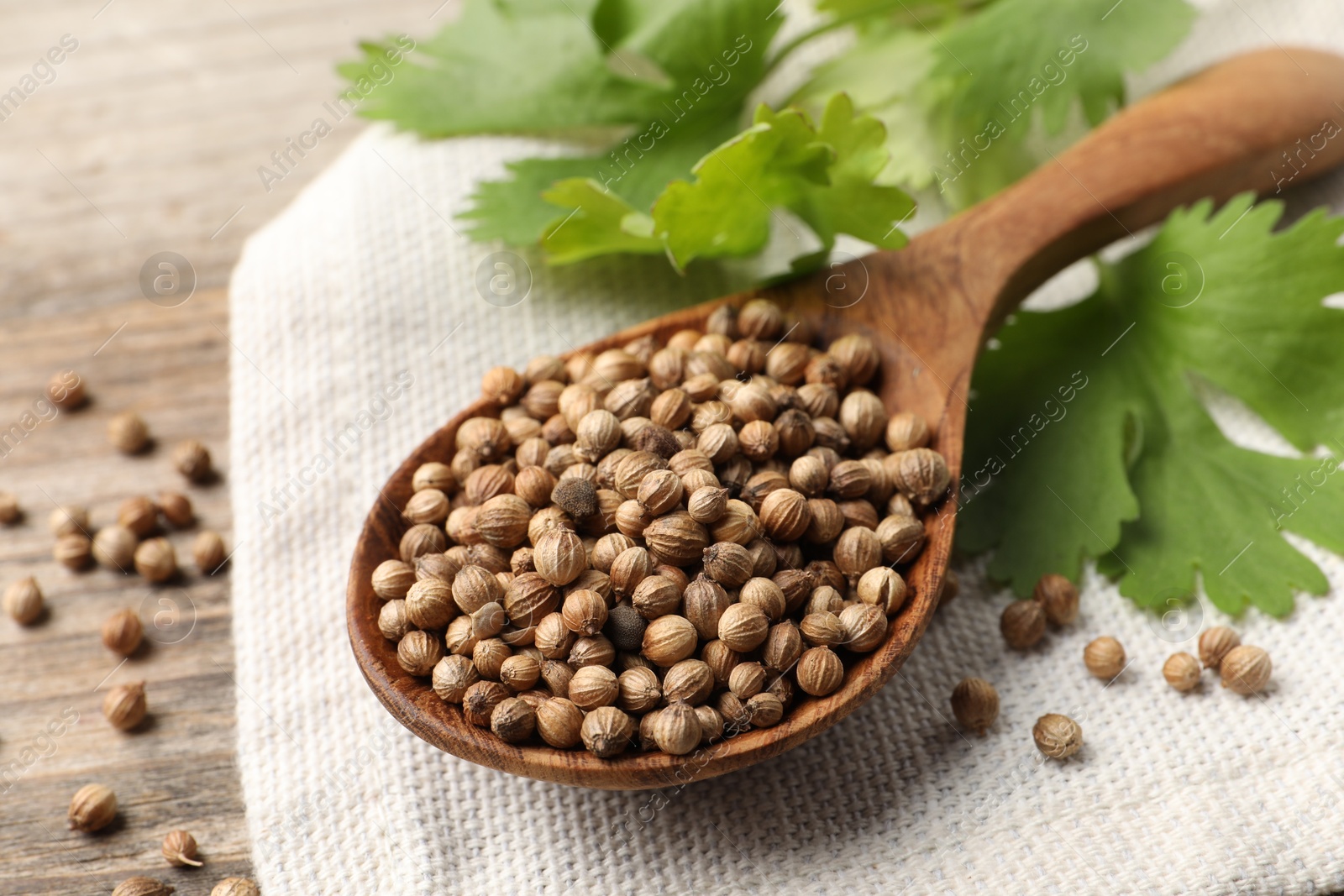 Photo of Spoon with dried coriander seeds and green leaves on wooden table, closeup