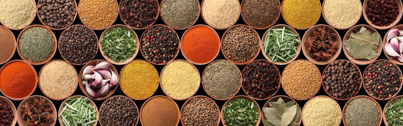 Image of Collection of different aromatic spices and herbs on black background, flat lay. Banner design