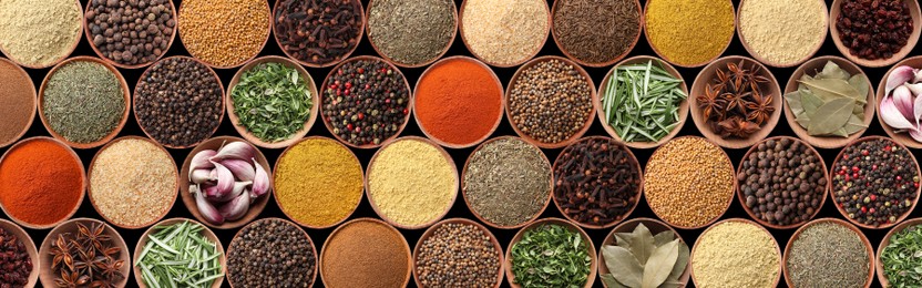 Collection of different aromatic spices and herbs on black background, flat lay. Banner design