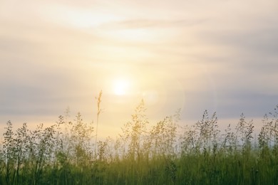 Photo of Picturesque view on green field under cloudy sky during sunset