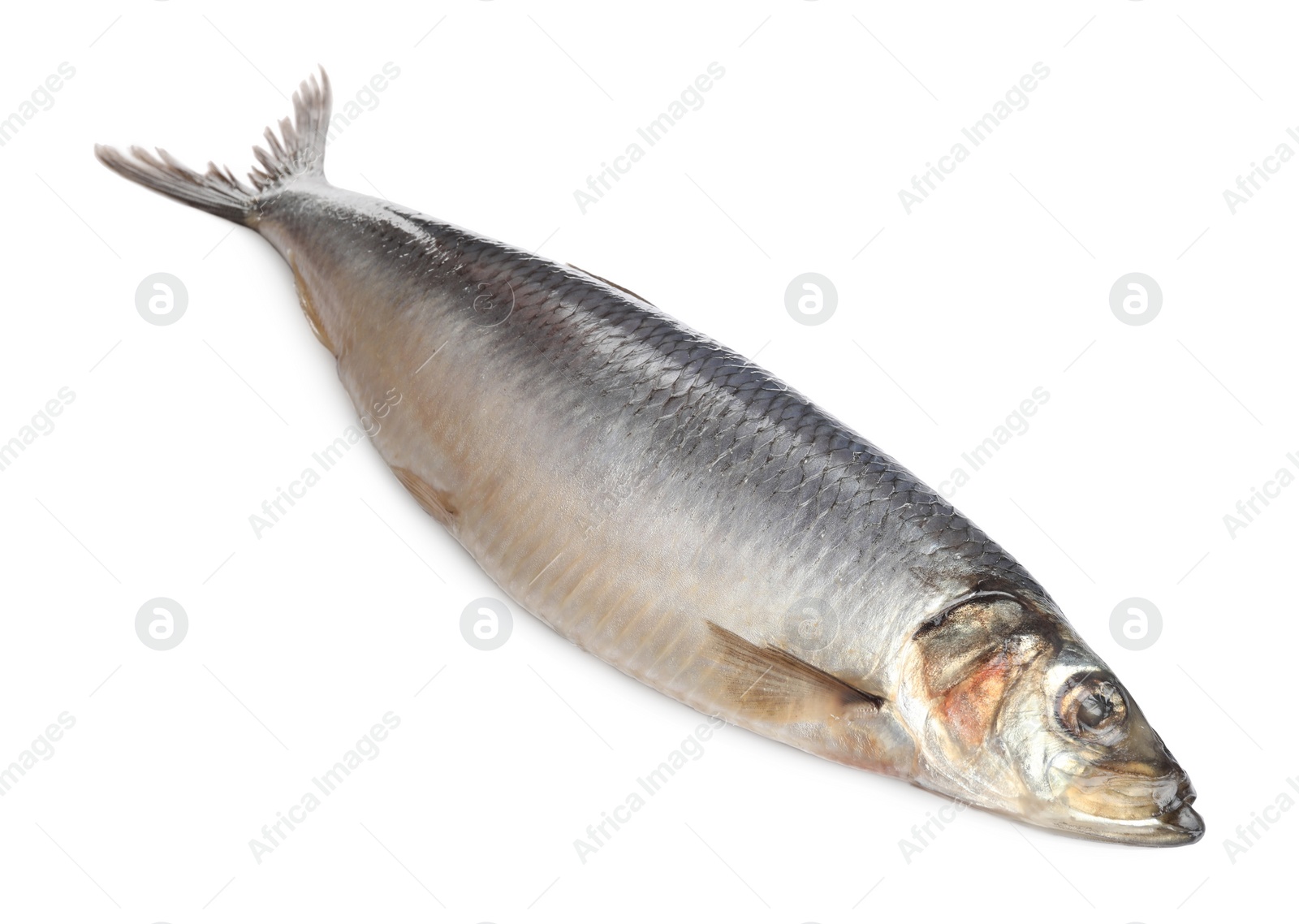 Photo of Whole delicious salted herring isolated on white