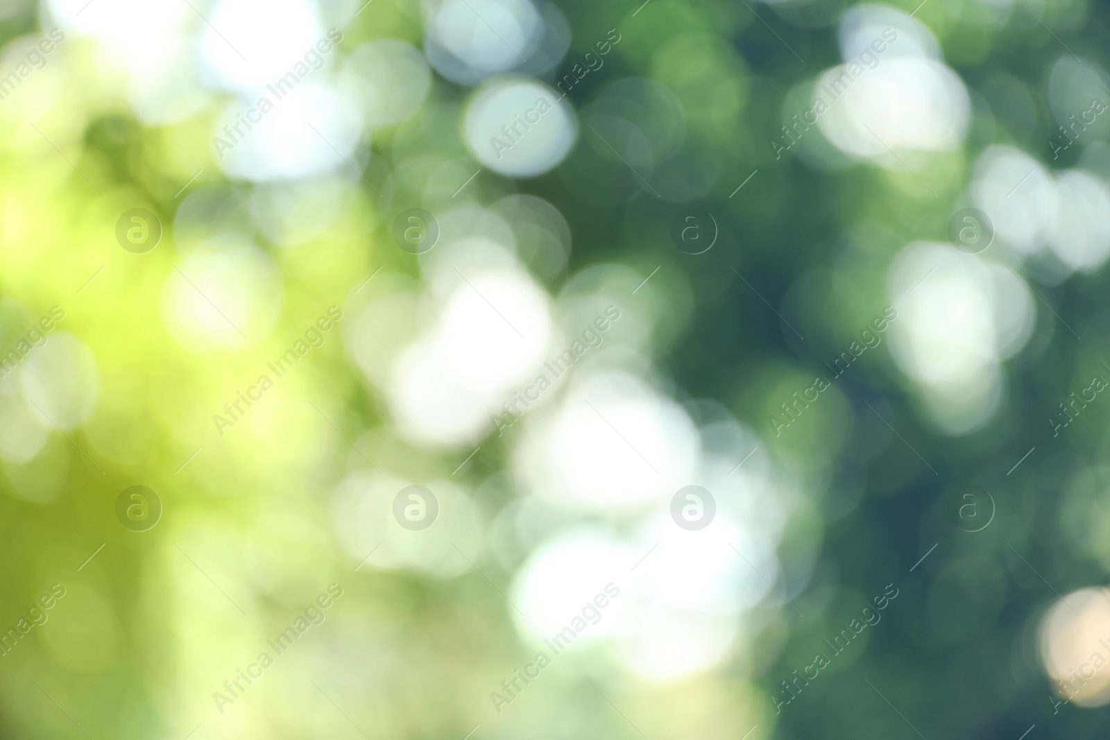 Photo of Blurred view of abstract green background. Bokeh effect