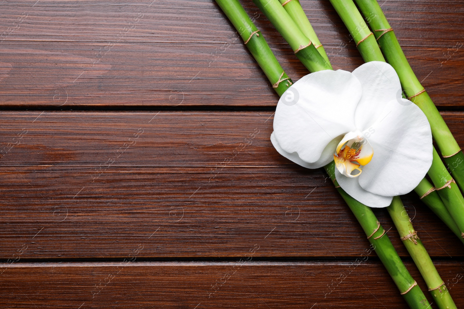 Photo of Bamboo stems and orchid flower on wooden table, flat lay. Space for text