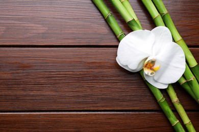 Photo of Bamboo stems and orchid flower on wooden table, flat lay. Space for text