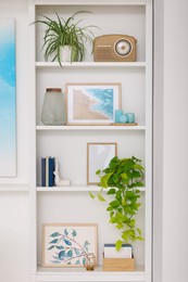 Photo of Interior design. Shelves with stylish accessories, potted plants and pictures near white wall