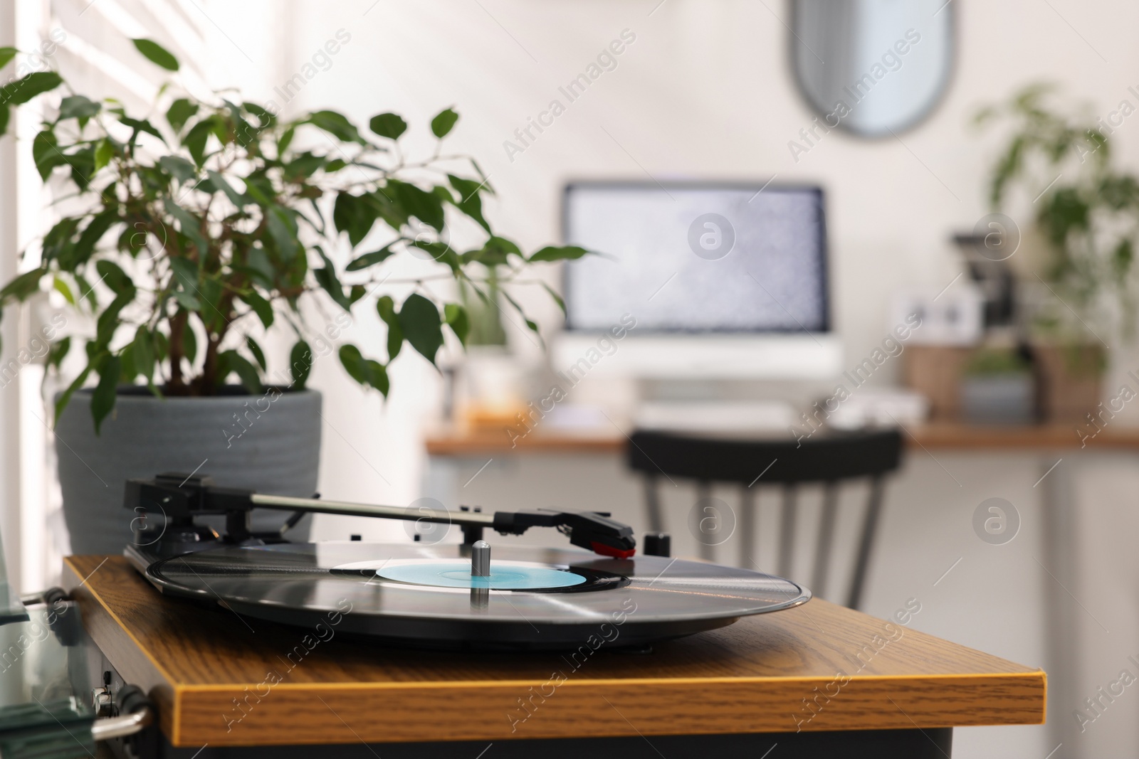 Photo of Record player and houseplant near cozy workplace at home