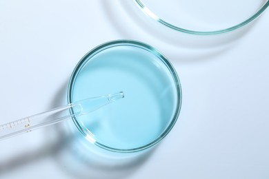 Photo of Pipette and petri dishes with liquid on white table, flat lay