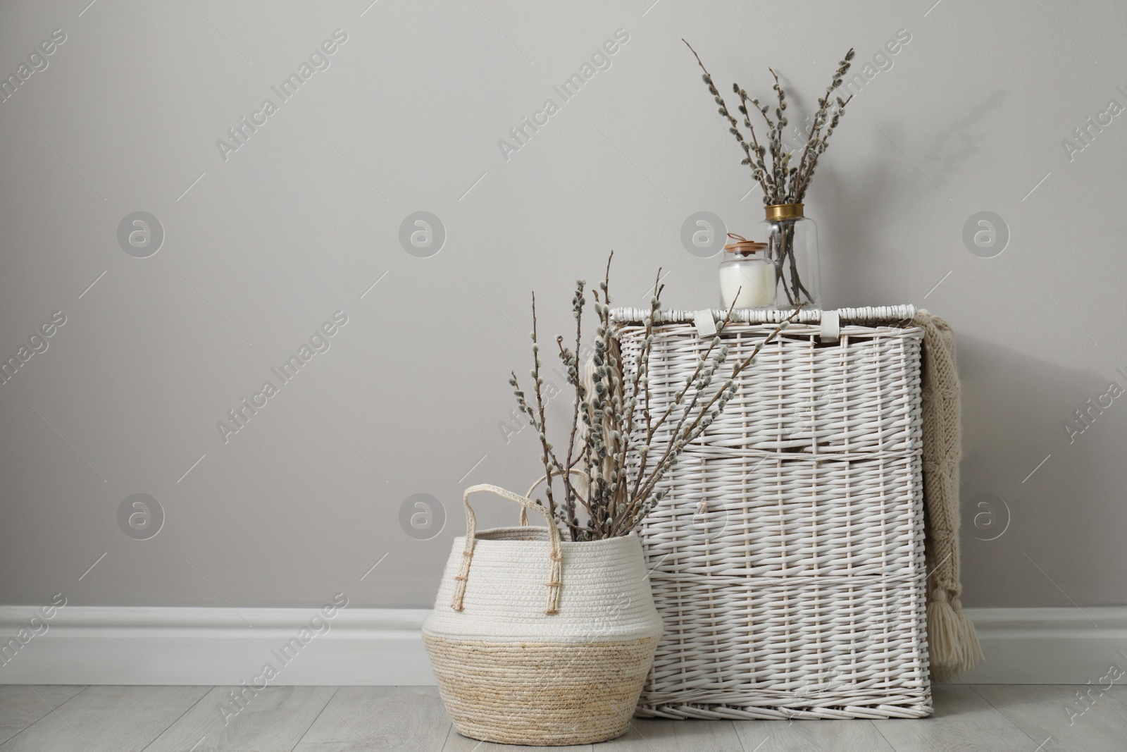 Photo of Fresh pussy willow branches and wicker baskets indoors. Space for text