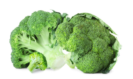 Fresh green broccoli on white background. Edible plant