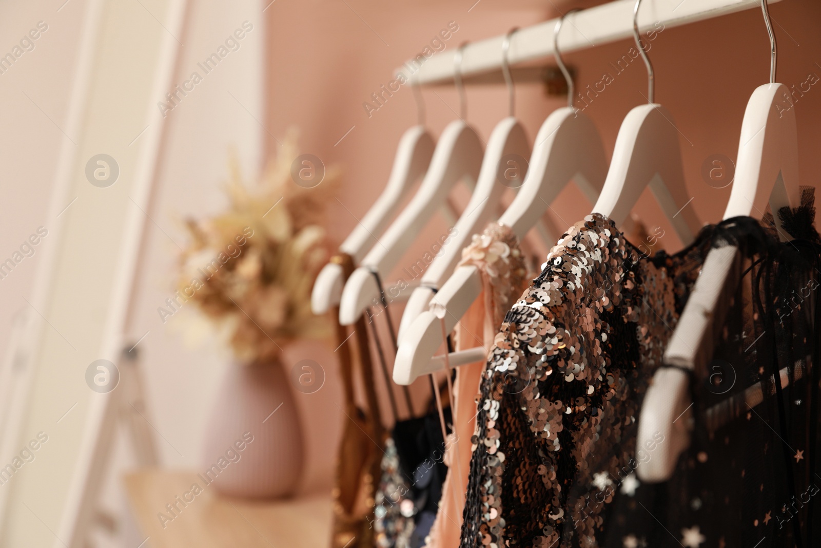 Photo of Collection of trendy women's garments on rack indoors, closeup and space for text. Clothing rental service