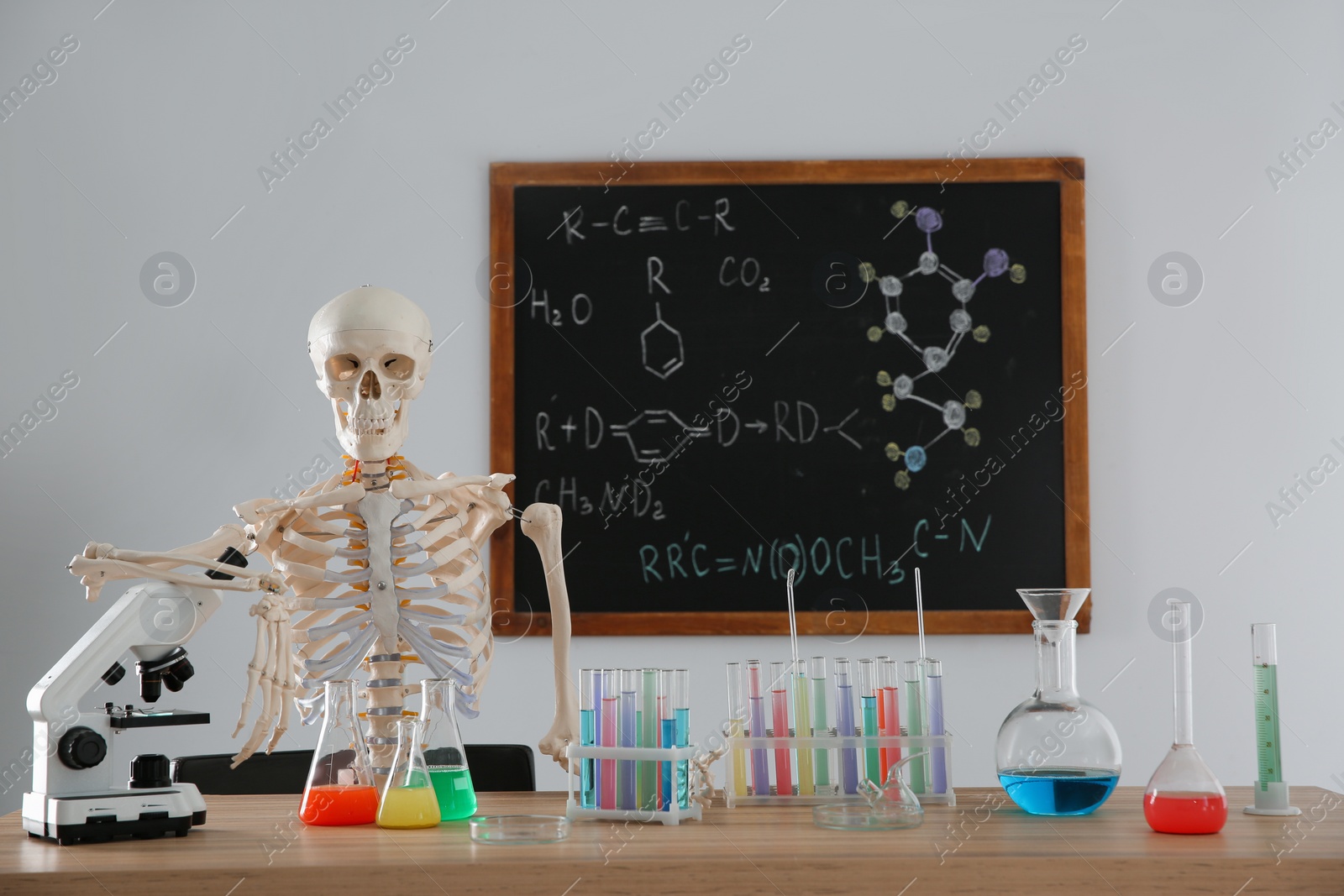 Photo of Skeleton and different chemistry glassware in classroom