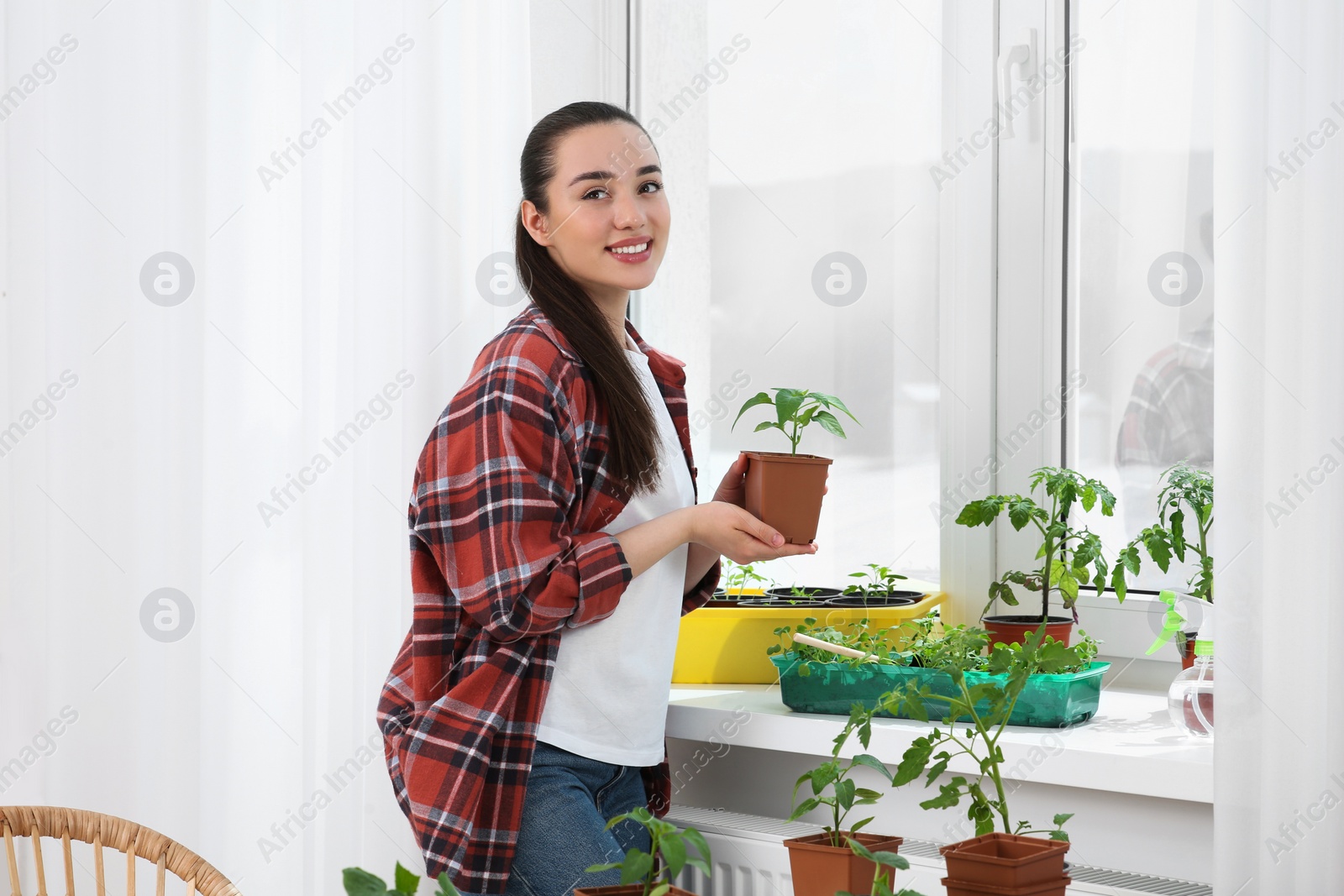 Photo of Happy woman holding pot with seedling near window indoors