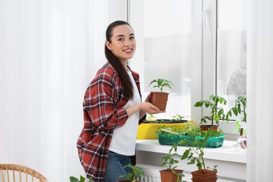 Photo of Happy woman holding pot with seedling near window indoors