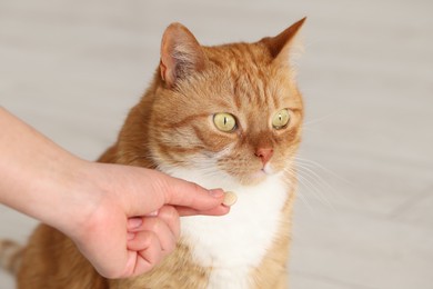 Photo of Woman giving vitamin pill to cute cat indoors, closeup