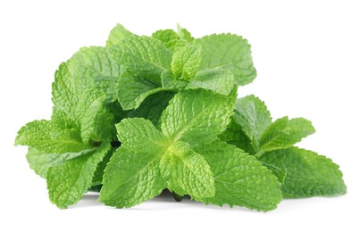 Photo of Fresh green mint leaves isolated on white