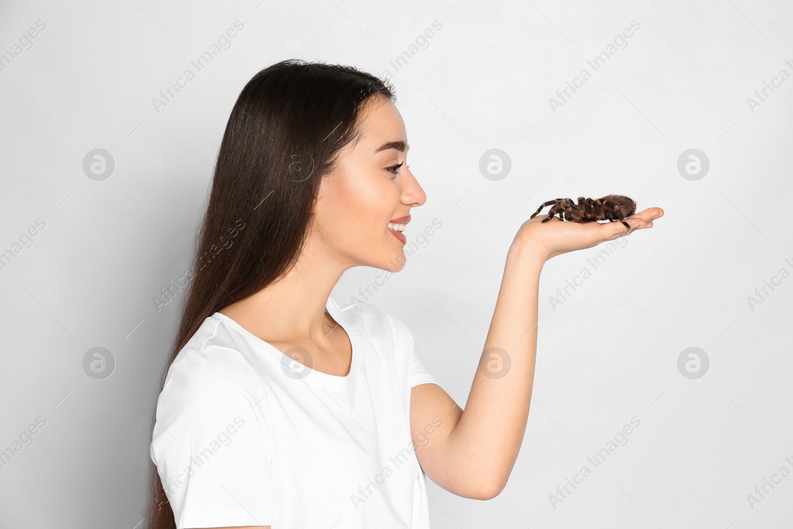 Photo of Woman holding striped knee tarantula on light background. Exotic pet