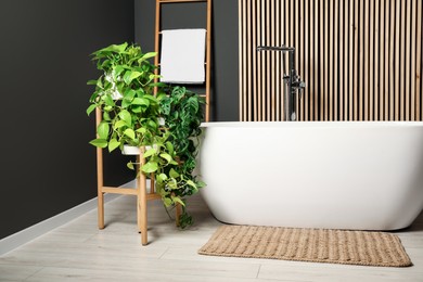 Photo of Spa day. Stylish bathroom interior with ceramic tub and green houseplants