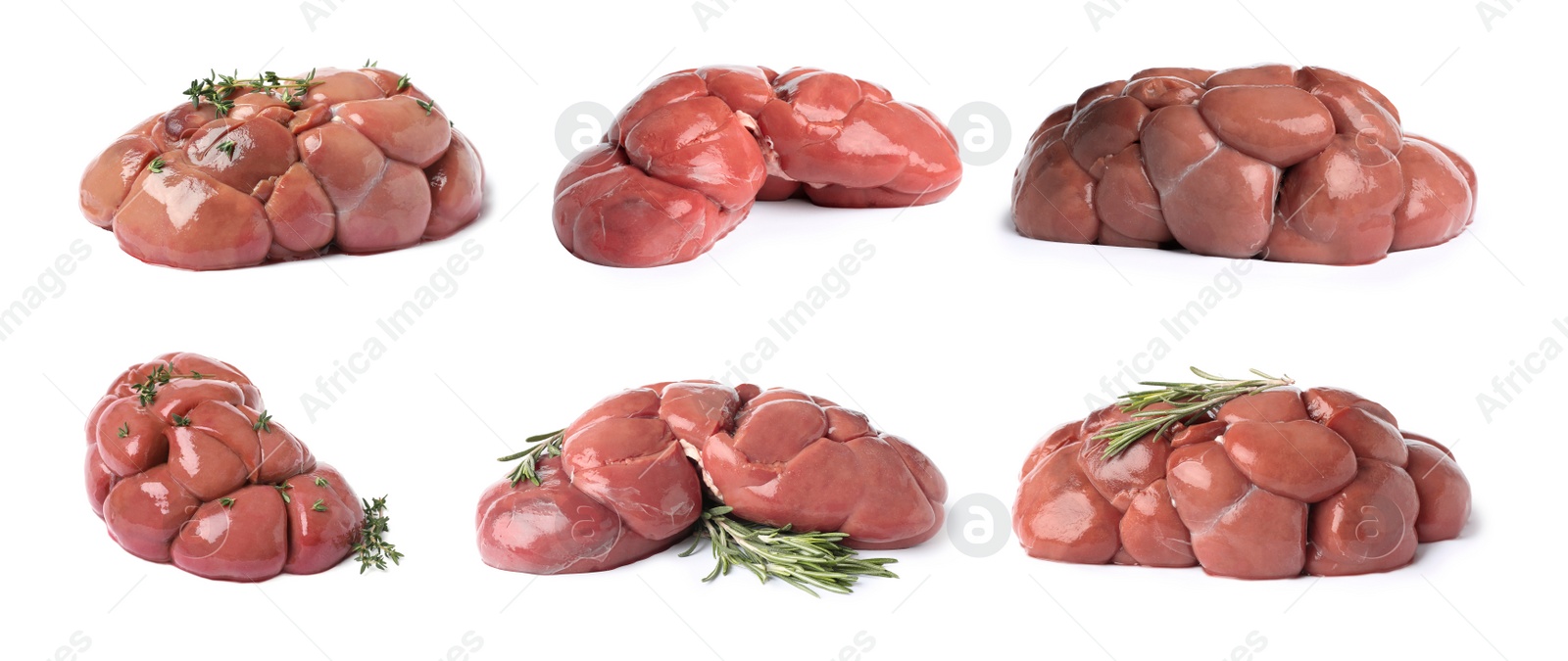 Image of Set with fresh raw kidneys on white background. Banner design